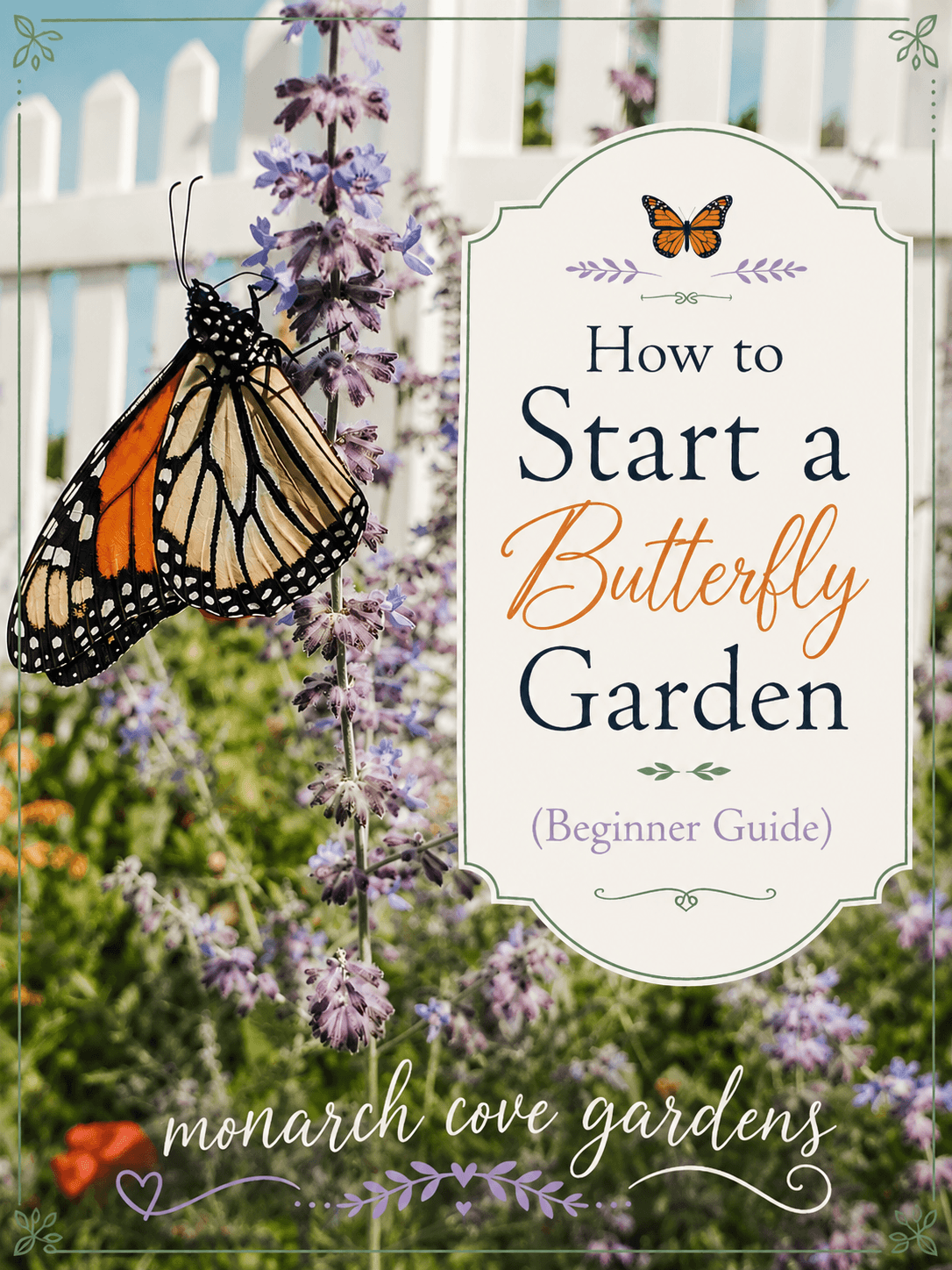 How to Start a Butterfly Garden