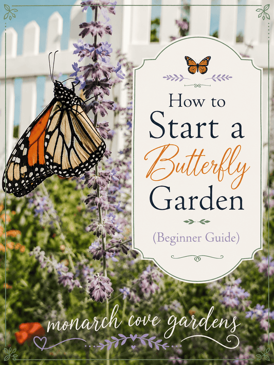 How to Start a Butterfly Garden